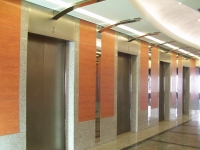 Panaromik Asansörler